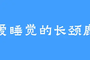 爱睡觉的长颈鹿