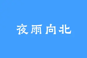 夜雨向北