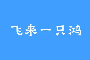 飞来一只鸿