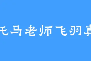 托马老师飞羽真