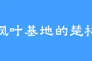枫叶基地的楚材
