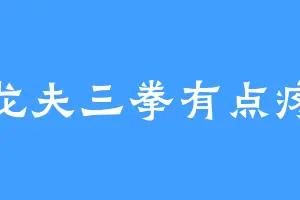 龙夫三拳有点疼