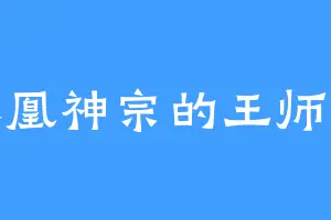冰凰神宗的王师姐