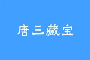 唐三藏宝