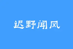 迟野闻风