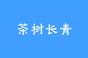 茶树长青