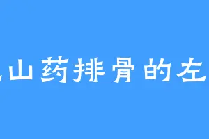 爱吃山药排骨的左天星