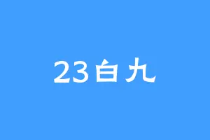 23白九