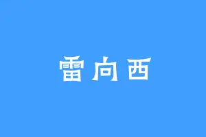 雷向西