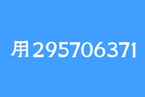 用295706371