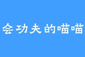 会功夫的喵喵