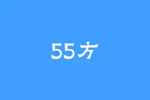 55方