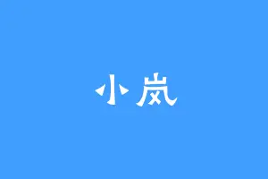 小岚