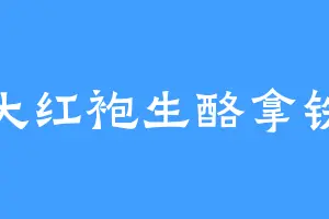 大红袍生酪拿铁
