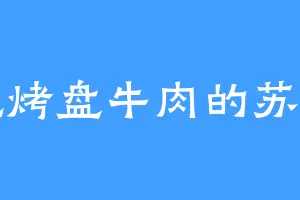 爱吃烤盘牛肉的苏奕清