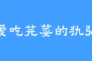 爱吃芫荽的犰弘