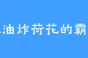 爱吃油炸荷花的霸天鹰