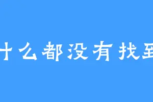 什么都没有找到