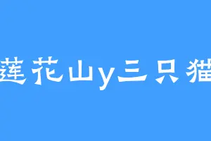 莲花山y三只猫