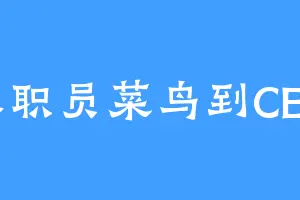 从职员菜鸟到CEO