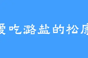 爱吃潞盐的松康