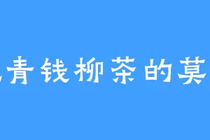 爱吃青钱柳茶的莫罗陀