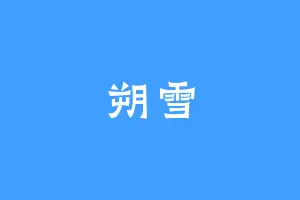 朔雪