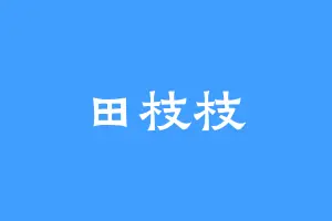田枝枝