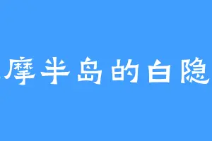 志摩半岛的白隐王