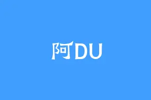 阿DU