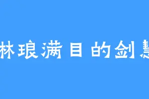 琳琅满目的剑慧
