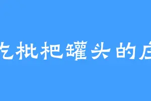 爱吃枇杷罐头的庄孝
