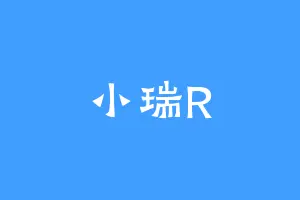 小瑞R
