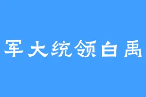 禁军大统领白禹今