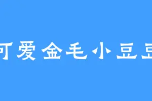 可爱金毛小豆豆