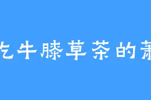 爱吃牛膝草茶的萧枭