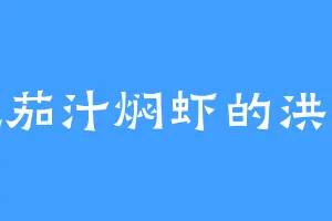 爱吃茄汁焖虾的洪灵枢