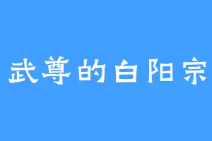 武尊的白阳宗