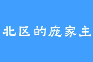 北区的庞家主
