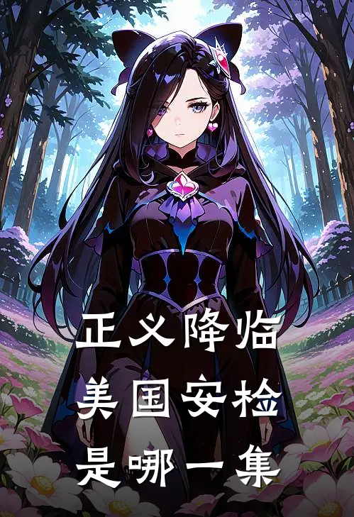 正义降临美国安检是哪一集