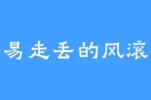 容易走丢的风滚草