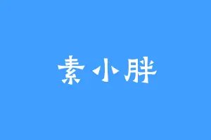 素小胖