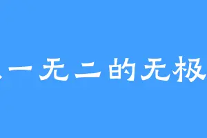 独一无二的无极尊