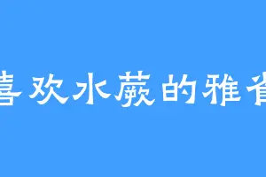 喜欢水蕨的雅雀