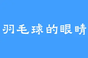 羽毛球的眼睛