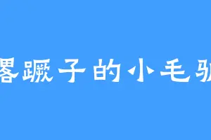 撂蹶子的小毛驴