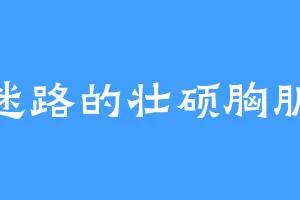 迷路的壮硕胸肌