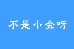 不是小金呀