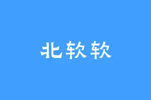 北软软