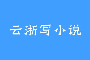 云淅写小说